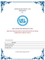 TIỂU LUẬN  QUẢN lý CÔNG PHÂN TÍCH CHÍNH SÁCH hỗ của NHÀ nước đối với các DOANH NGHIỆP TRONG THỜI kỳ COVID 19 