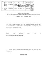 Tác động của việc tuân thủ chuẩn mực BCTC quốc tế IFRS đến chỉ tiêu lợi nhuận và rủi ro của các ngân hàng thương mại tại việt nam