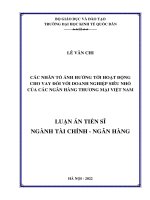Các nhân tố ảnh hưởng tới hoạt động cho vay đối với doanh nghiệp siêu nhỏ của các ngân hàng thương mại Việt Nam