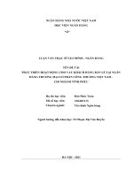 Phát triển hoạt động cho vay khách hàng bán lẻ tại ngân hàng thương mại cổ phần công thương việt nam – chi nhánh vĩnh phúc