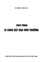 Giáo trình vi sinh vật học môi trường (NXB đại học quốc gia 2001)   trần cẩm vân, 161 trang