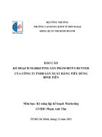 BÁO cáo kế HOẠCH MARKETING sản PHẨM BITI’S HUNTER của CÔNG TI TNHH sản XUẤT HÀNG TIÊU DÙNG BÌNH TIÊN 