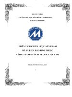 Phân tích chiến lược sản phẩm mì ăn liền hảo hảo thuộc công ty cổ phần acecook việt nam 