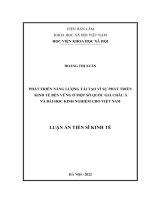 (Luận án tiến sĩ) Phát triển năng lượng tái tạo vì sự phát triển kinh tế bền vững ở một số quốc gia Châu Á và bài học kinh nghiệm cho Việt Nam
