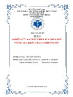 ĐỒ ÁN PHÁT TRIỂN SẢN PHẨM -TRÀ-CAM-ỔI