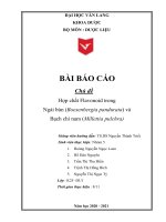 BÀI BÁO CÁO Chủ đề Hợp chất Flavonoid trong Ngải bún (Boesenbergia pandurata) và Bạch chỉ nam (Millettia pulchra)