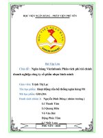 Bài tập lớn chủ đề  ngân hàng vietinbank phân tích phi tài chính doanh nghiệp công ty cổ phần nhựa bình minh 