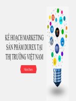 slide thuyết trình kế HOẠCH MARKETING sản PHẨM DUREX tại THỊ TRƯỜNG VIỆT NAM 