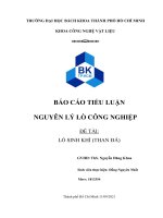 BÁO CÁO TIỂU LUẬN NGUYÊN LÝ LÒ CÔNG NGHIỆP ĐỀ TÀI LÒ SINH KHÍ (THAN ĐÁ)