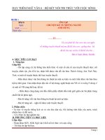 Giáo án dạy thêm ngữ văn 6 sách kết nối tri thức với cuộc sống (kì 2, chất lượng)  