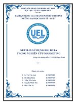 NETFLIX SỬ DỤNG BIG DATA TRONG NGHIÊN CỨU MARKETING