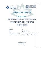 Lập kế hoạch marketing xe điện vinfast vfe34 trên thị trường indonesia