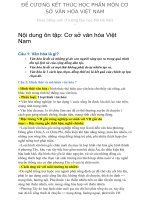 de cuong ket thuc hoc phan mon co so van hoa viet nam 
