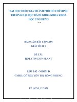 BÁO cáo bài tập lớn GIẢI TÍCH 1 đề tài ROTATING ON SLANT 