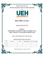 TIỂU LUẬN KINH TẾ VĨ MÔ TÌNH HÌNH LẠM PHÁT Ở VIỆT NAM HIỆN NAY. THỰC TRẠNG VÀ GIẢI PHÁP CHÍNH SÁCH