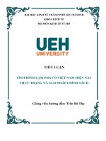 TIỂU LUẬN KINH TẾ VĨ MÔ TÌNH HÌNH LẠM PHÁT Ở VIỆT NAM HIỆN NAY THỰC TRẠNG VÀ GIẢI PHÁP