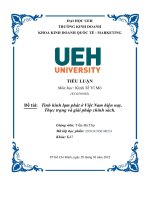 TIỂU LUẬN KINH TẾ VĨ MÔ TÌNH HÌNH LẠM PHÁT Ở VIỆT NAM HIỆN NAY THỰC TRẠNG VÀ GIẢI PHÁP