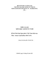 TIỂU LUẬN KINH TẾ VĨ MÔ TÌNH HÌNH LẠM PHÁT Ở VIỆT NAM HIỆN NAY THỰC TRẠNG VÀ GIẢI PHÁP