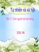 bài giảng tự nhiên và xã hội bài 11 con người nơi em sống 