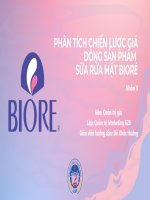 Quản trị giá  PHÂN TÍCH CHIẾN LƯỢC GIÁ DÒNG SẢN PHẨM SỮA RỬA MẶT BIORÉ