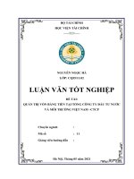103  QUẢN TRỊ vốn BẰNG TIỀN tại TỔNG CÔNG TY đầu tư nước và môi TRƯỜNG VIỆT NAM –CTCP 