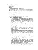 Tiểu luận khởi nghiệp dự án s carat