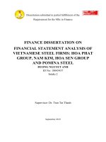 159 Finance dissertation on financial statement analysis of Vietnamese steel firms Hoa Phat group, Nam Kim, Hoa Sen group and Pomina steel,Master''''s Thesis