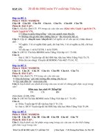 dap-an-20-de-hsg-tieng-viet-lop-5