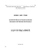 680 Giải pháp phát triển cho vay tiêu dùng tại Ngân hàng Nông nghiệp và phát triển nông thôn Việt Nam chi nhánh tỉnh Nghệ An,Luận văn Thạc sĩ Kinh tế