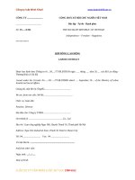 mau-hop-dong-lao-dong-song-ngu