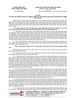 chi-thi-03-ct-ubnd-ho-chi-minh-2019-nang-cao-chat-luong-van-ban-quy-pham-phap-luat