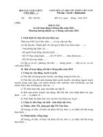 Mau-BaoCao-6ThangDauNam-2021