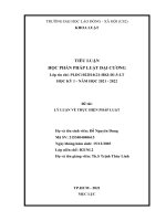 TIỂU LUẬN đề tài lý LUẬN về THỰC HIỆN PHÁP LUẬT 