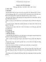 Giáo án âm nhạc 6 sách cánh diều, chất lượng 