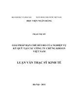 178 Giải pháp hạn chế rủi ro của nghiệp vụ ký quỹ tại các công ty chứng khoán Việt Nam,Luận văn Thạc sĩ Kinh tế