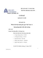 ĐỀ tài phân tích thị trường lúa gạo việt nam và biện pháp phát triển thị trường 