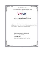 TIỂU LUẬN kết THÚC môn đề tài QUÁ TRÌNH vận DỤNG và PHÁT TRIỂN tư TƯỞNG hồ CHÍ MINH TRONG sự NGHIỆP đổi mới 