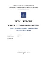 FINAL REPORT SUBJECT INTERNATIONAL ECONOMICS topic the opportunities and challenges when vietnam enters CPTPP 