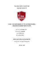 bài tập lớn đề tài các vấn đề pháp lý về cổ phần hóa doanh nghiệp nhà nước 