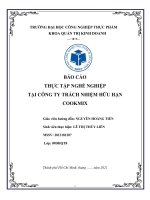 BÁO cáo THỰC tập NGHỀ NGHIỆP tại CÔNG TY TRÁCH NHIỆM hữu hạn COOKMIX 2 