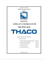 PHÂN TÍCH môi TRƯỜNG bên NGOÀI và văn hóa tổ CHỨc  công ty cổ phần ô tô trường hải (THACO 