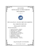 TIỂU LUẬN GIỮA kỳ   xây DỰNG CHIẾN lược MARKETING PHÂN TÍCH môi TRƯỜNG MARKETING (môi TRƯỜNG vĩ mô – PEST 