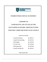 A REPORT ON COMPARATIVE ADVANTAGE OF THE VIETNAMESE ECONOMIC GROWTH IN STEEL INDUSTRY UNDER THE EFFECTS OF COVID 19 