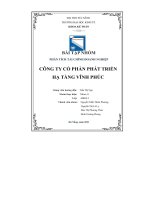 BÀI tập NHÓM PHÂN TÍCH tài CHÍNH DOANH NGHIỆP CÔNG TY cổ PHẦN PHÁT TRIỂN hạ TẦNG VĨNH PHÚC 