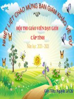 HỘI THI GIÁO VIÊN DẠY GIỎI CẤP TỈNH BÁO CÁO • Biện pháp “Lồng ghép nhạc vào học thể dục lớp 5.