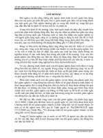 Tiểu luận: Chính sách xoá đói giảm nghèo cho đồng bào các dân tộc thiểu số, thực trạng và giải pháp.