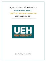 BÁO cáo dự án CUỐI kỳ ứng dụng mô hình quản trị rủi ro dựa trên giá trị doanh nghiệp cho công ty cổ phần nhựa bình minh 