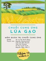 tiểu luận môn quản trị chuỗi cung ứng ưu, NHƯỢC điểm của CHUỖI CUNG ỨNG lúa gạo ở TỈNH QUẢNG NGÃI 