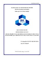 BÀI tập lớn tìm HIỂU về các hệ THỐNG sản XUẤT DỊCH vụ THỰC tế tại DOANH NGHIỆP  QUY TRÌNH sản XUẤT mì ăn LIỀN CÔNG TY ACECOOK 