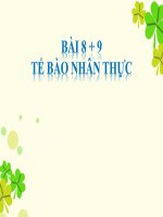 bai-8-te-bao-nhan-thuc-T1